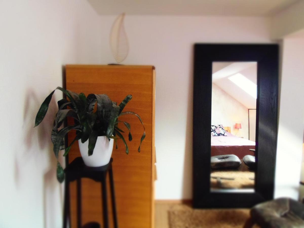 Apartman Katarina 자그레브 외부 사진