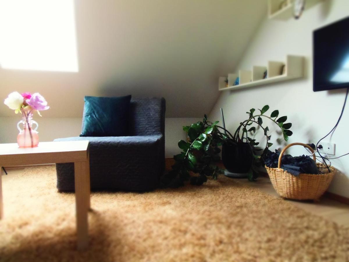 Apartman Katarina 자그레브 외부 사진